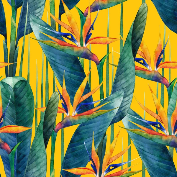 Watercolor strelitzia pattern — Stock Photo, Image