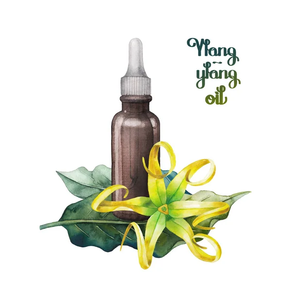 Watercolor ylang ylang oil — Stock Photo, Image