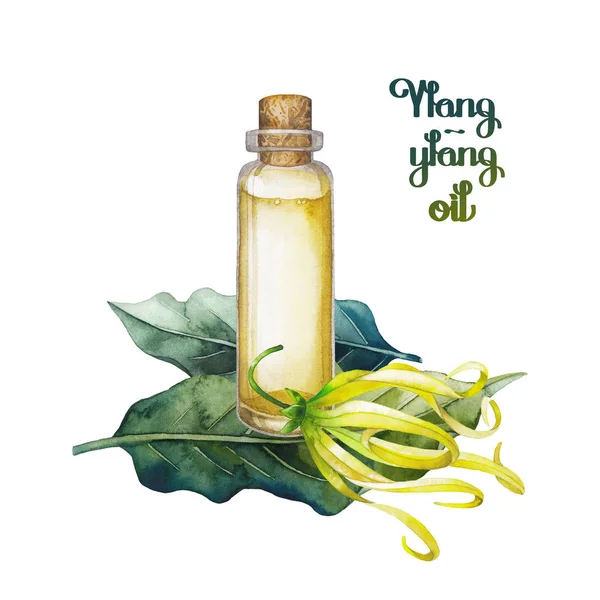 Aquarell Ylang Ylang Öl — Stockfoto