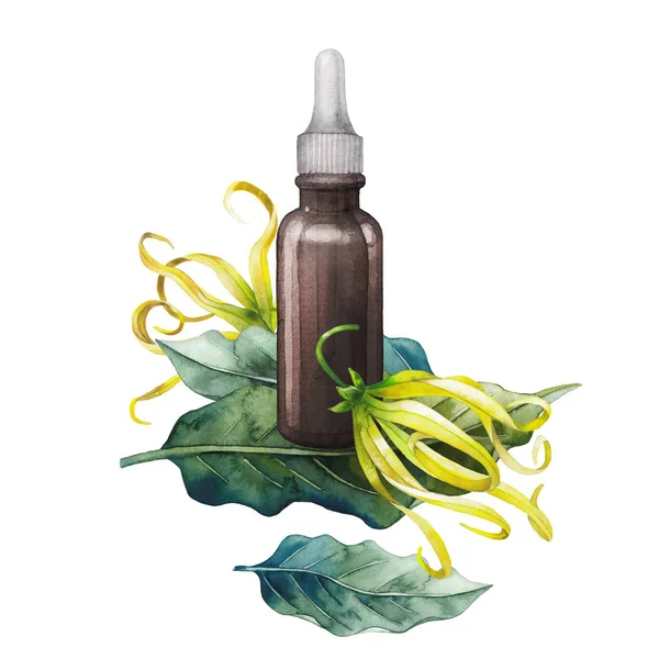 Olio di ylang ylang acquerello — Foto Stock