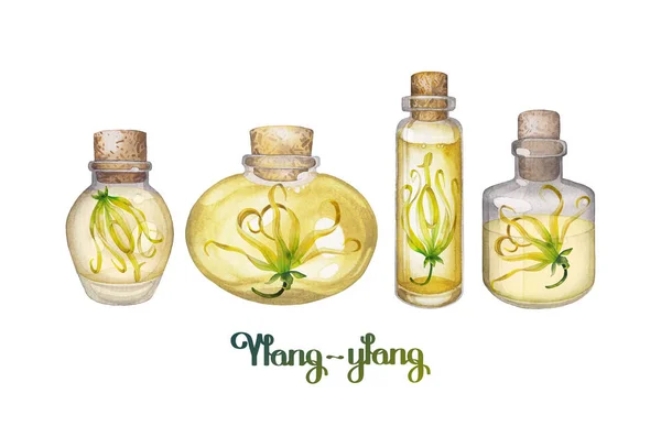 Ακουαρέλα ylang ylang πετρέλαιο — Φωτογραφία Αρχείου