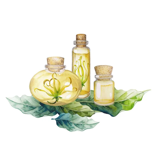 Watercolor ylang ylang oil — Stock Photo, Image