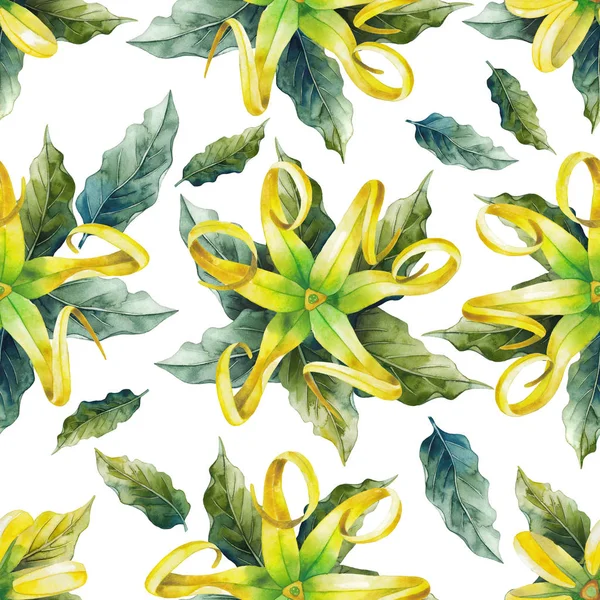 Padrão ylang ylang aquarela — Fotografia de Stock