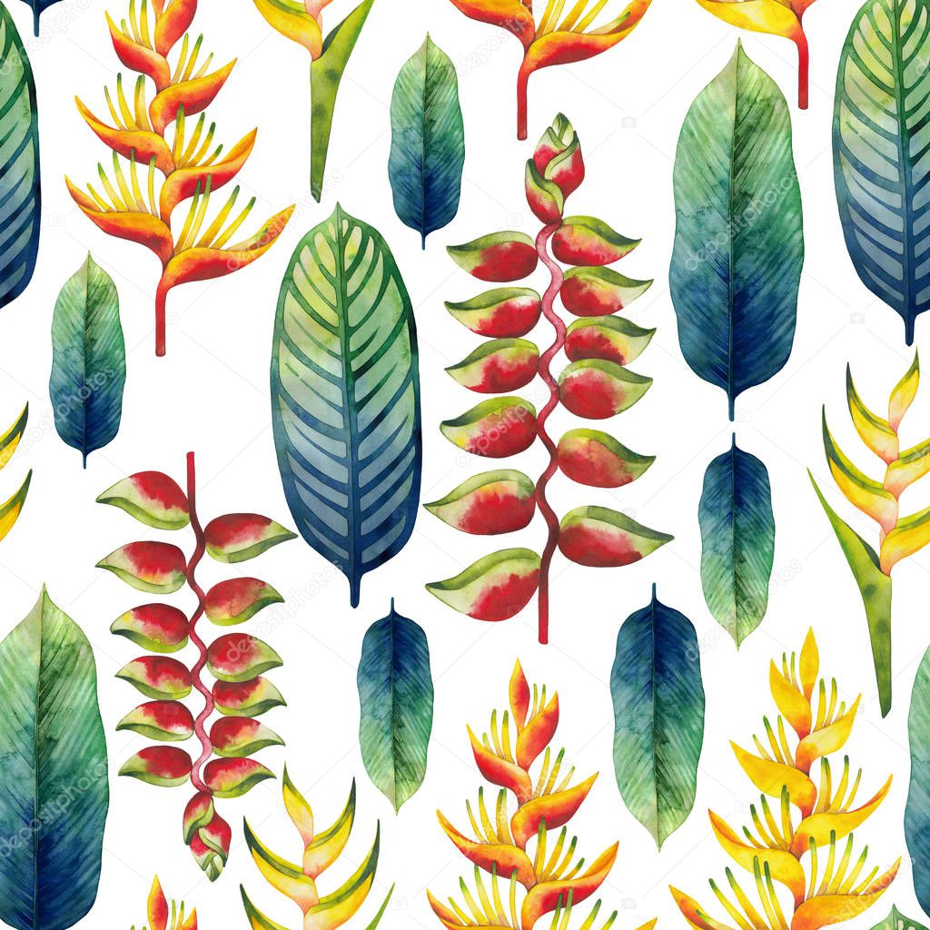 Watercolor heliconia pattern