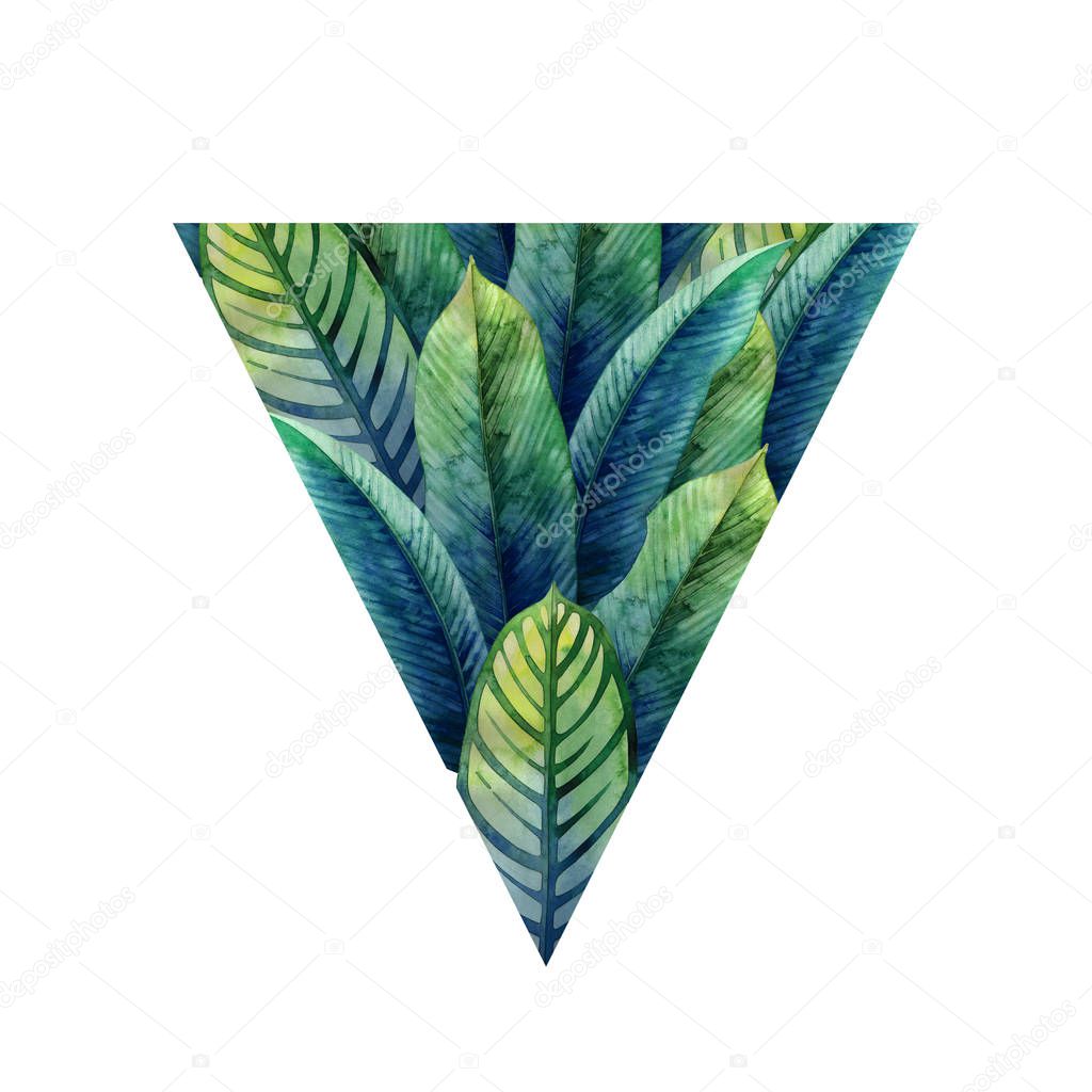 Watercolor heliconia leaves