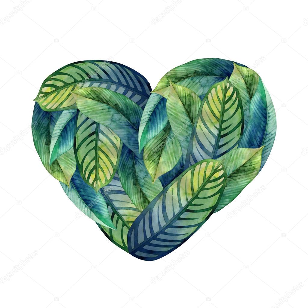 Watercolor heliconia heart