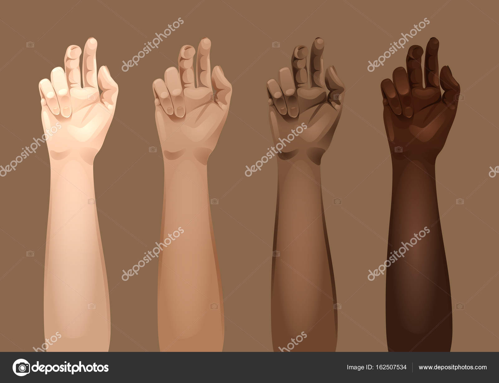 Modèles De Bras Femmes Image Vectorielle Homunkulus28