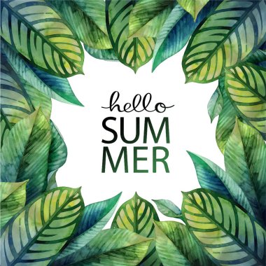 Suluboya heliconia yaprakları