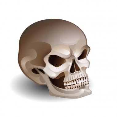 Korkunç gülümseme ile grafik kafatası