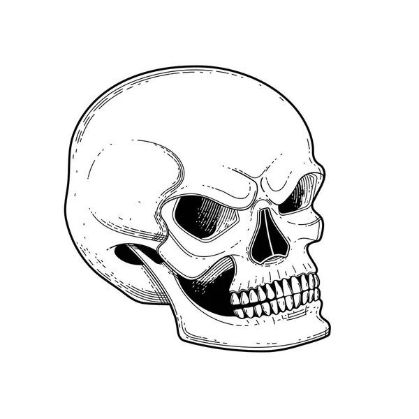 Графический череп со страшной улыбкой — стоковый вектор
