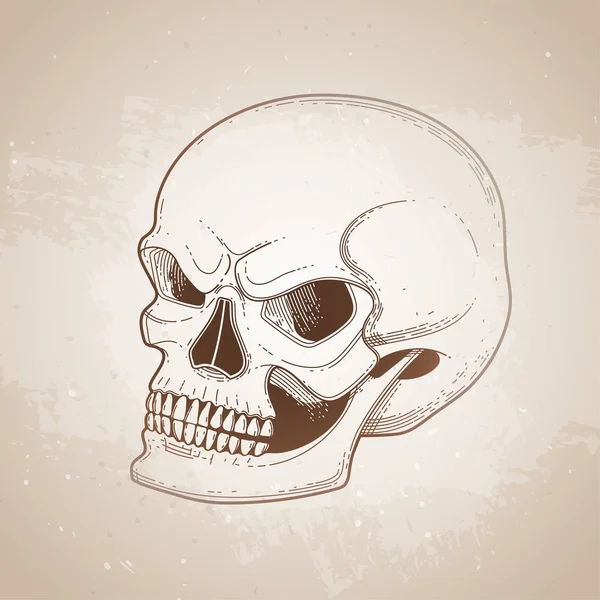 Crâne graphique avec un sourire craintif — Image vectorielle