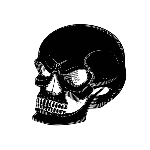 Totenkopf mit ängstlichem Lächeln — Stockvektor