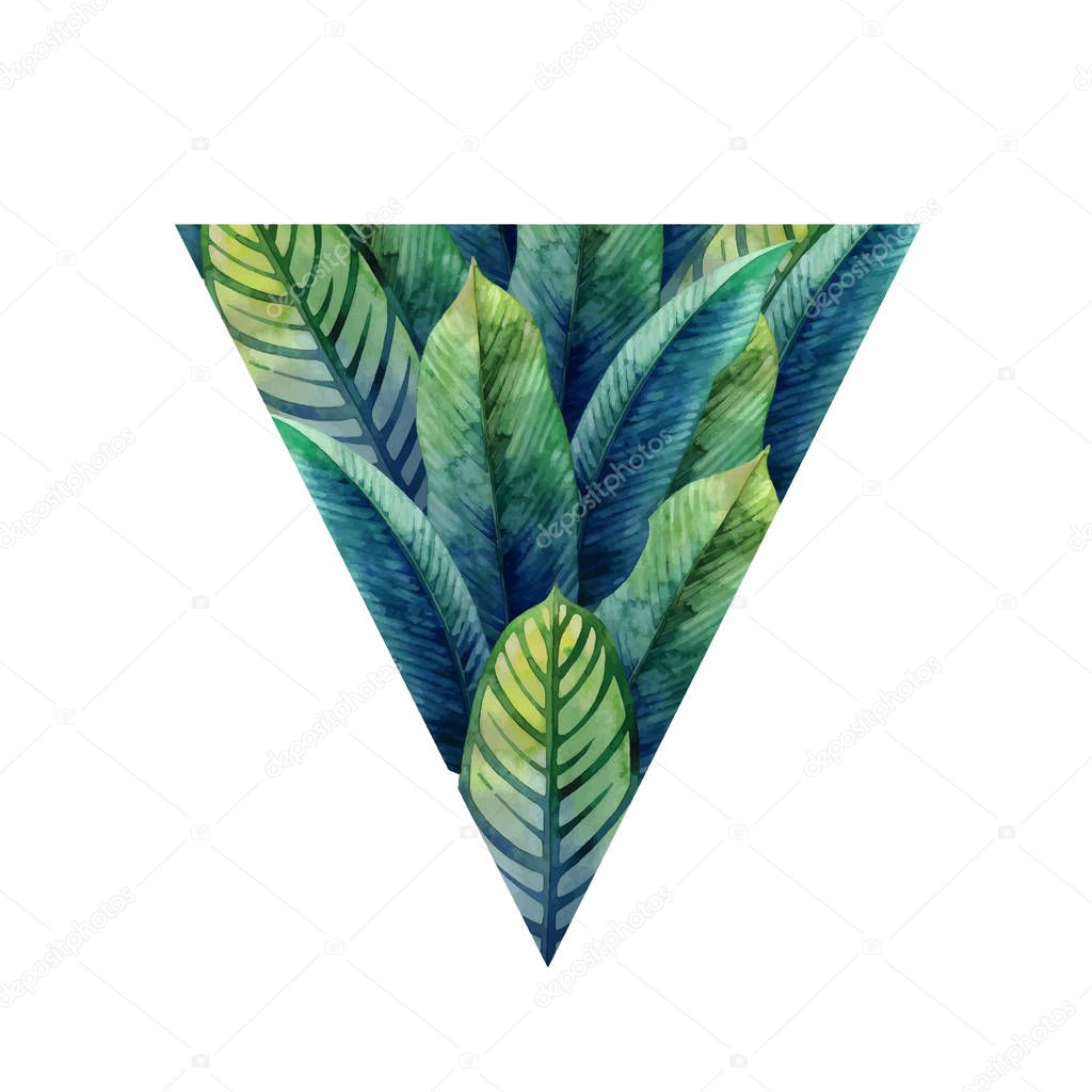 Watercolor heliconia leaves