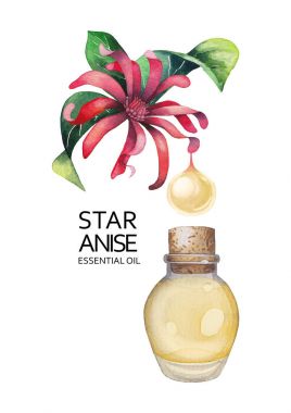 Suluboya yıldız anason