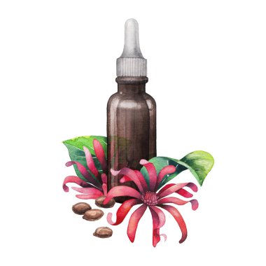 Suluboya yıldız anason yağı