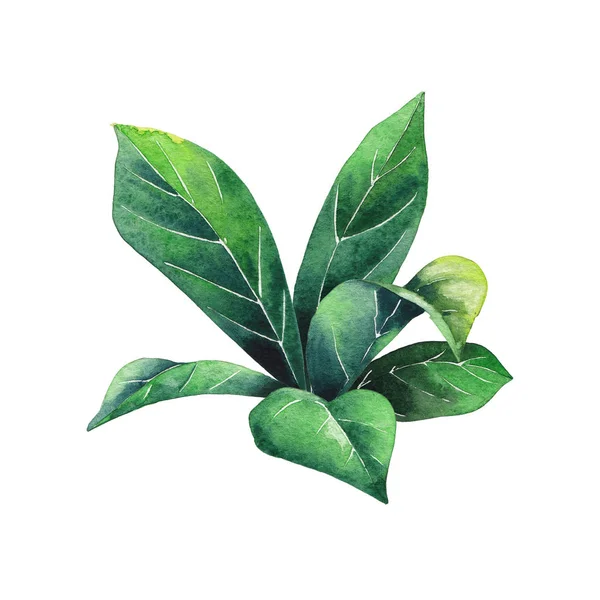 Yaprak suluboya kompozisyon