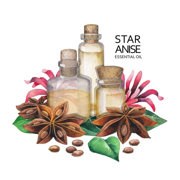 Watercolor star anise oil — Stock Photo, Image