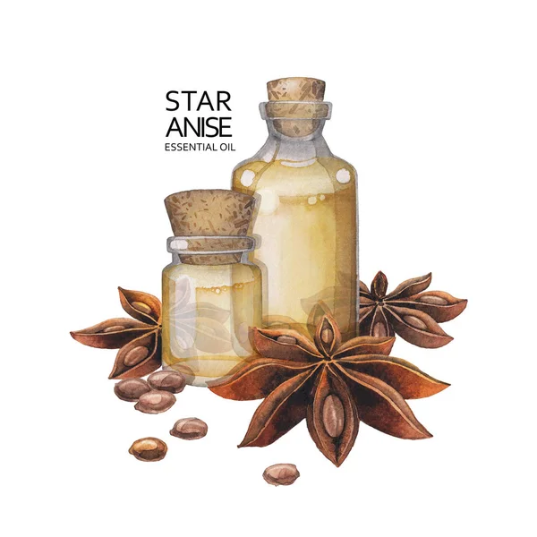 Акварельная звезда анисовое масло — стоковое фото