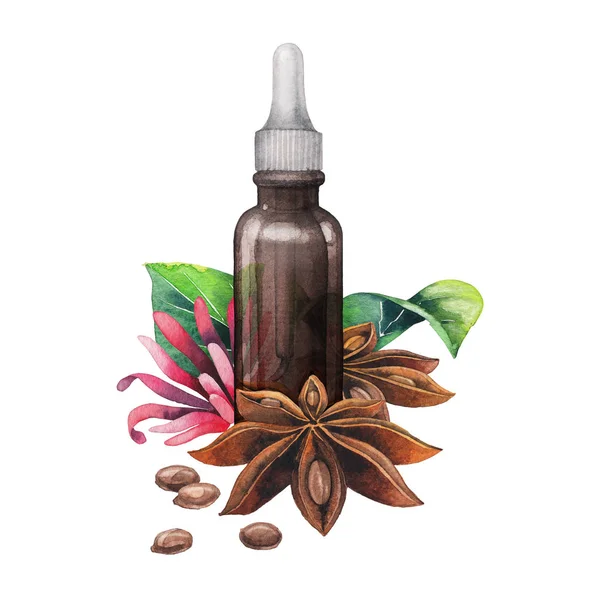 Watercolor star anise oil — Stock Photo, Image