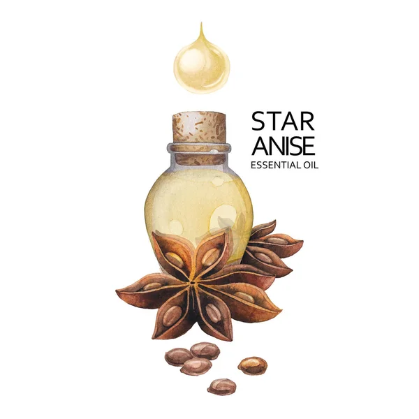 Aceite de anís estrella de acuarela —  Fotos de Stock