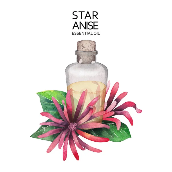 Suluboya yıldız anason yağı