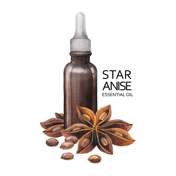 Watercolor star anise oil — Stock Photo, Image