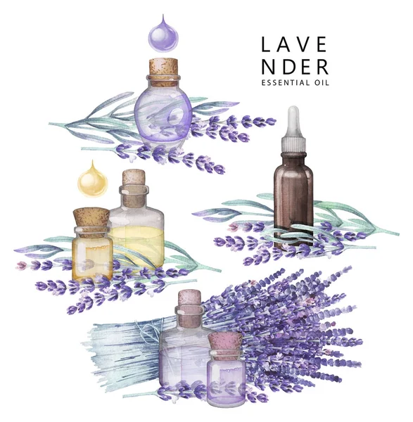 Watercolor lavender oil set — Stock Photo, Image