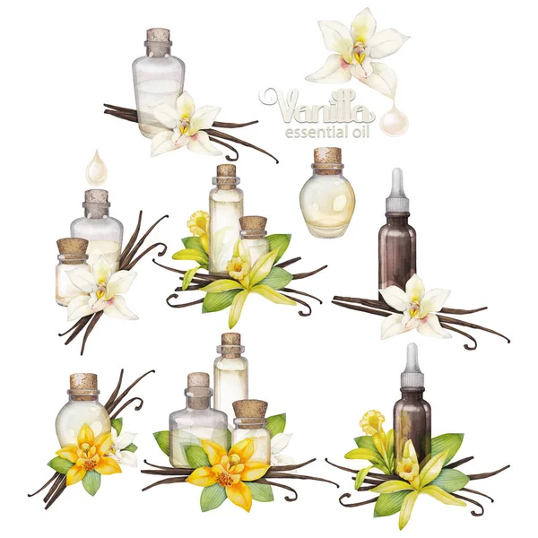 Watercolor vanilla oil collection — Stock Photo, Image