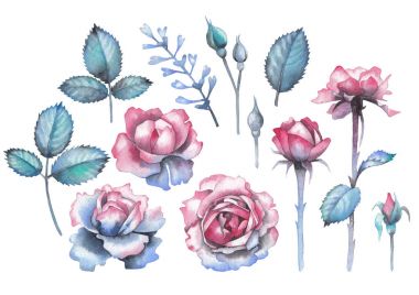 Watercolor collection of rose leaves and flowers clipart
