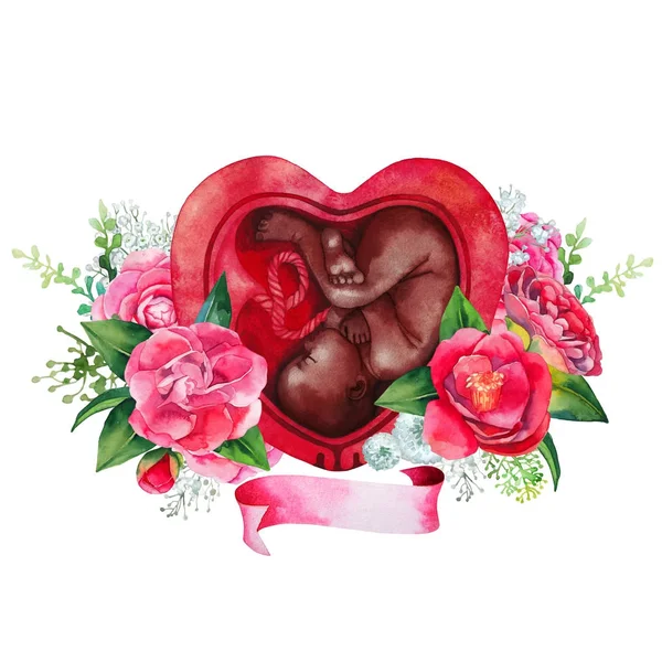 Acuarela del feto dentro del útero —  Fotos de Stock