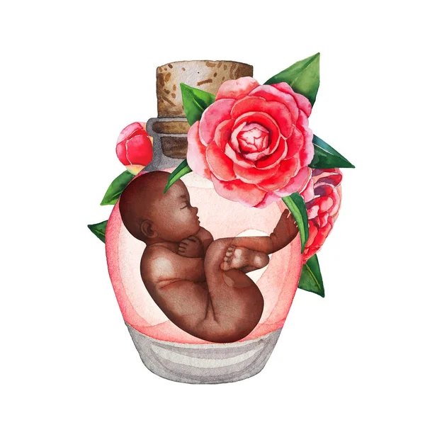 Aquarelle foetus dans la bouteille en verre — Photo