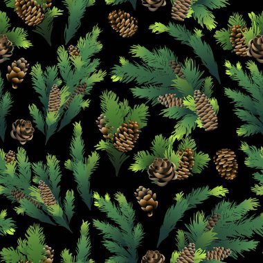 çam ağacı dalları ve koniler