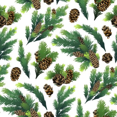 çam ağacı dalları ve koniler