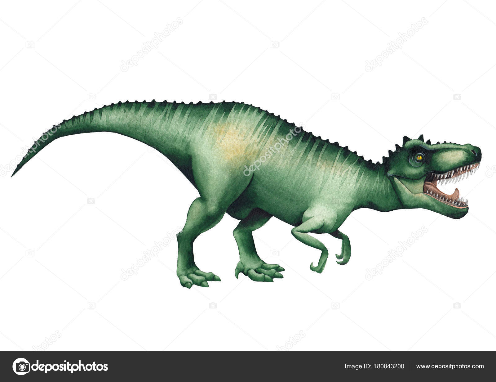 Dinossauro Realista De Aquarela Isolado Em Fundo Branco