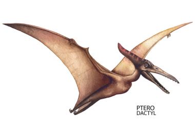 Gerçekçi suluboya dinozor