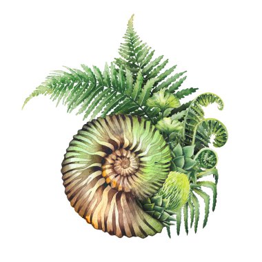 Prehistoric watercolor seashell and fern branches clipart