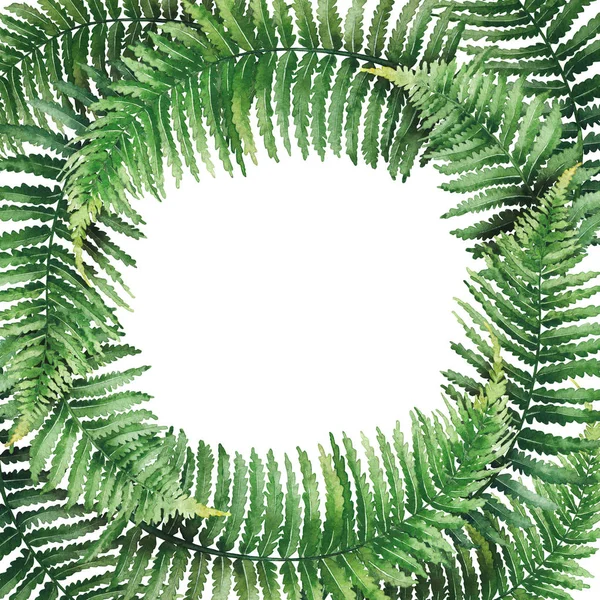 Watercolor fern wreath — Stock Photo, Image