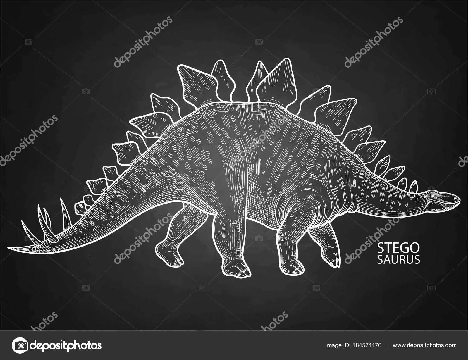Cor de dinossauro estegossauro desenho herbívoro selvagem antigo isolado no  fundo branco