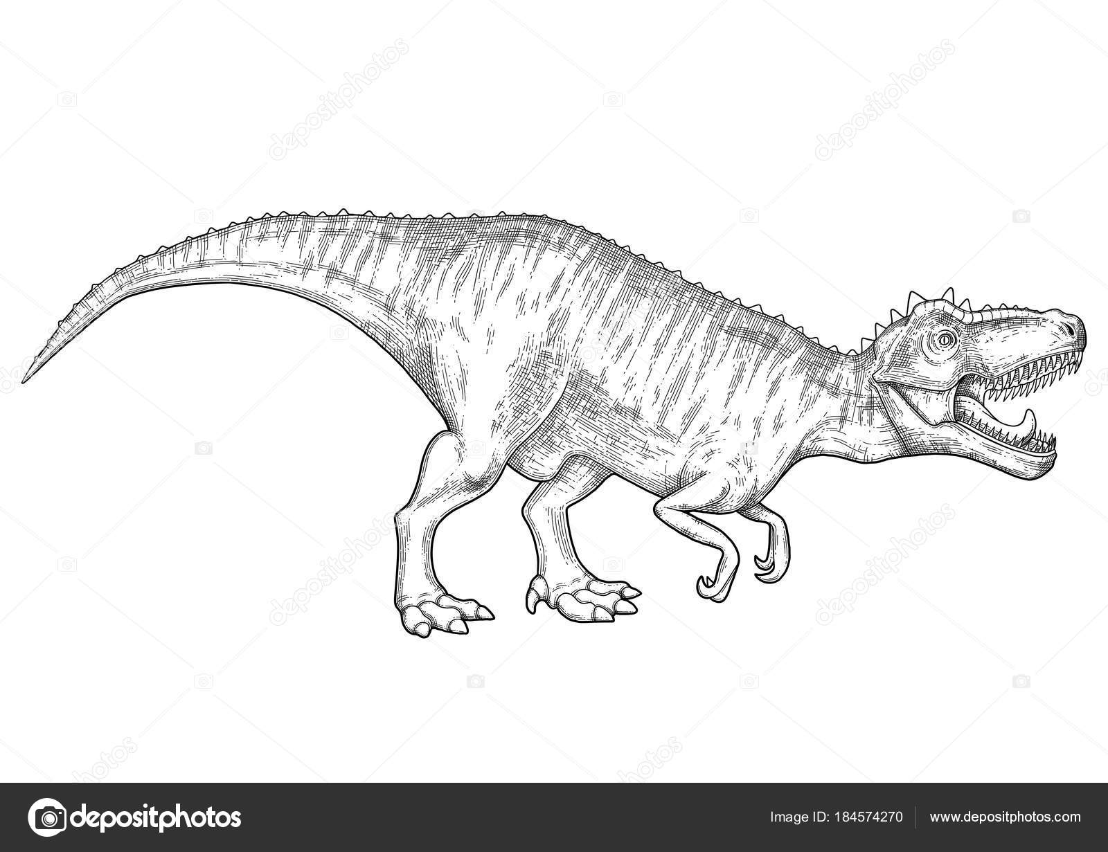 T-rex dinosaur isolated prehistoric animal sketch. Vector