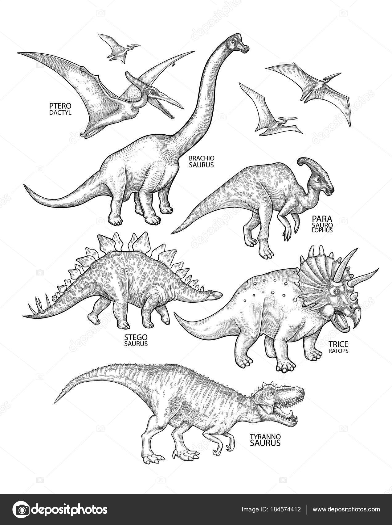 Cor de dinossauro estegossauro desenho herbívoro selvagem antigo isolado no  fundo branco