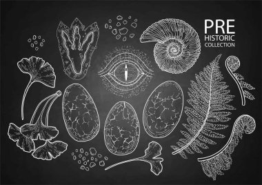 Grafik tarih öncesi toplama