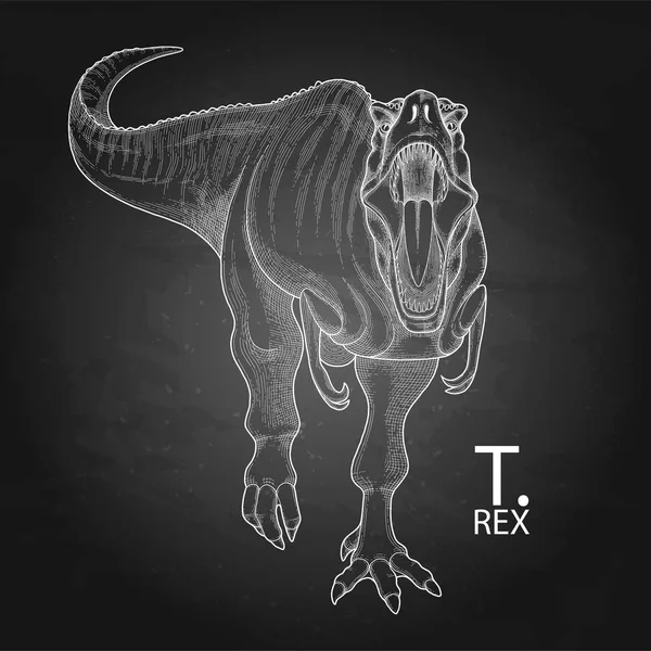 Dinosaurus grafis realistis - Stok Vektor