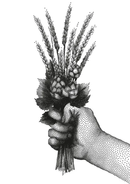 麦芽とホップ点描技法で手 — ストックベクタ