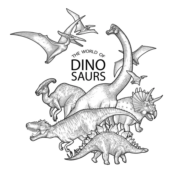 Grupo de dinossauros gráficos — Vetor de Stock