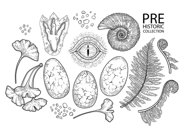 Collection préhistorique graphique — Image vectorielle