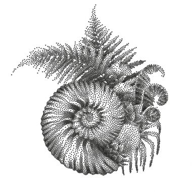 Tarih öncesi grafik deniz kabuğu ve fern dalları