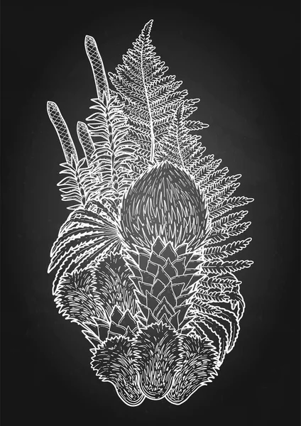 グラフィックの先史時代の植物 — ストックベクタ