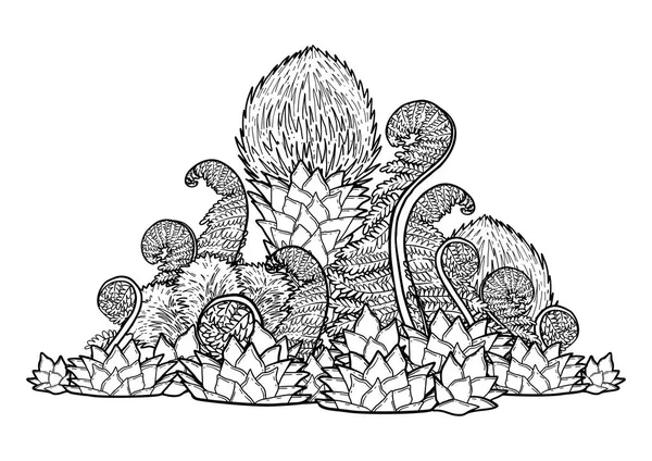 Grafische prehistorische planten — Stockvector