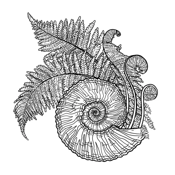 Ramas prehistóricas gráficas de concha marina y helechos — Vector de stock