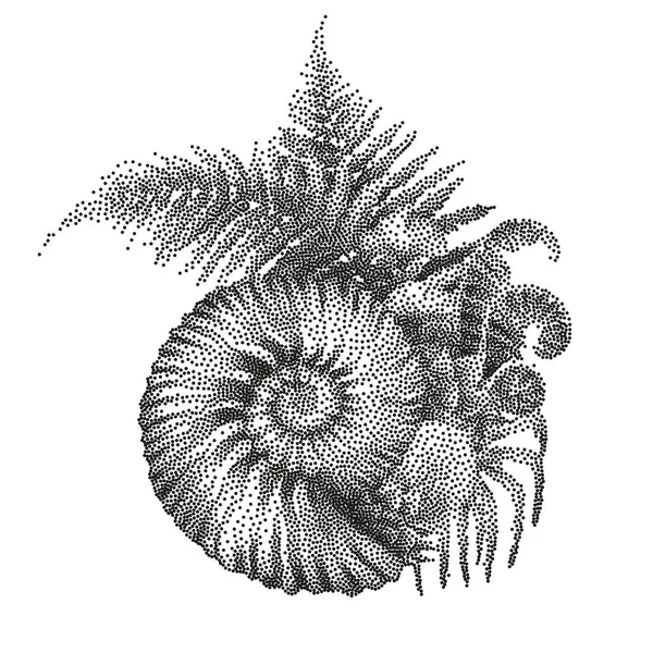 史前图形贝壳和蕨类树枝 — 图库矢量图片